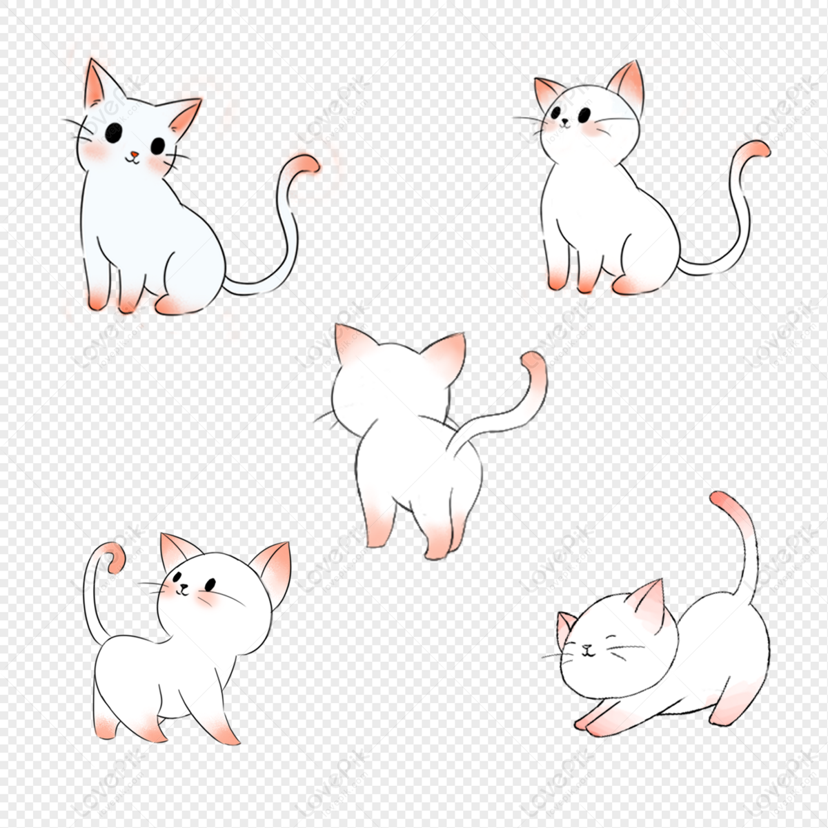 Cat PNG Transparent Background And Clipart Image For Free Download -  Lovepik | 401517780