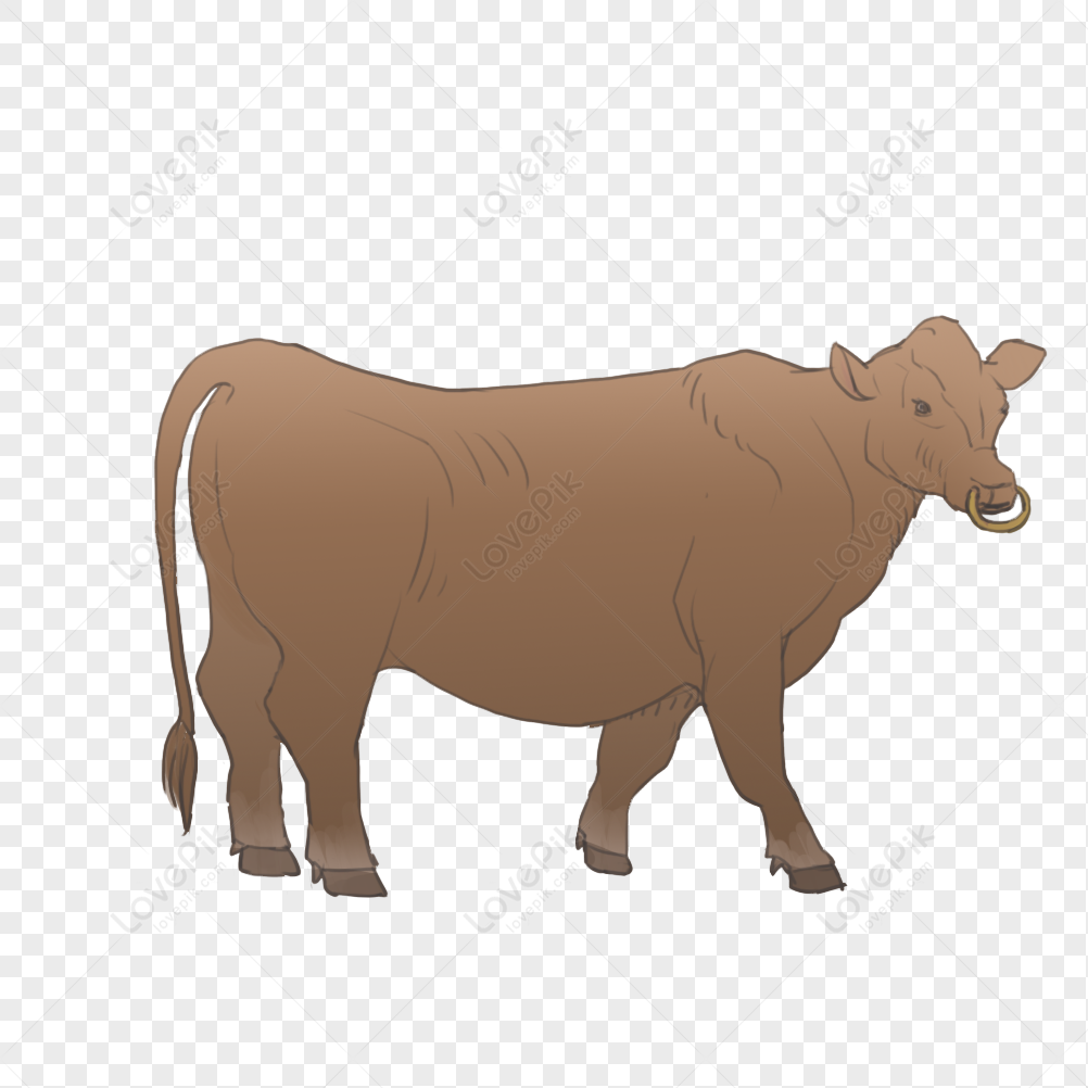 Kids drawing Cartoon Vector illustration cute cow icon Isolated on White  Background 25433157 Vector Art at Vecteezy