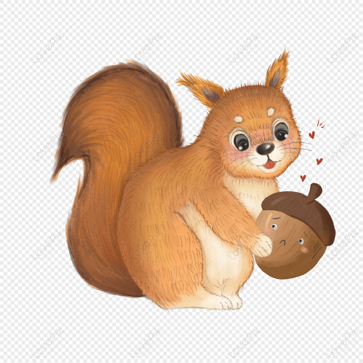 Cute Squirrel Material PNG Transparent Background And Clipart Image For  Free Download - Lovepik | 401522580