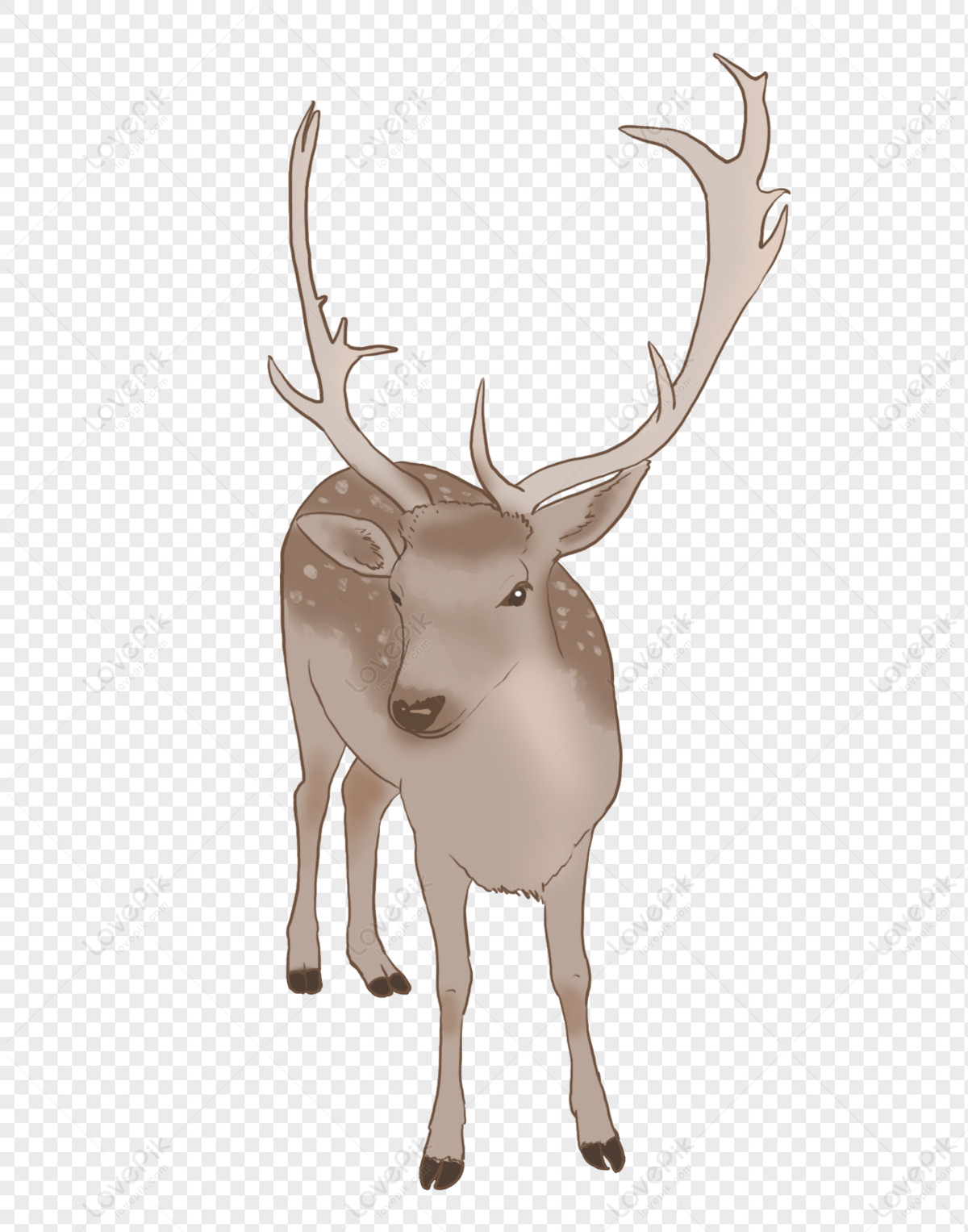 Premium Vector | Cute deer cartoon character with a blue background