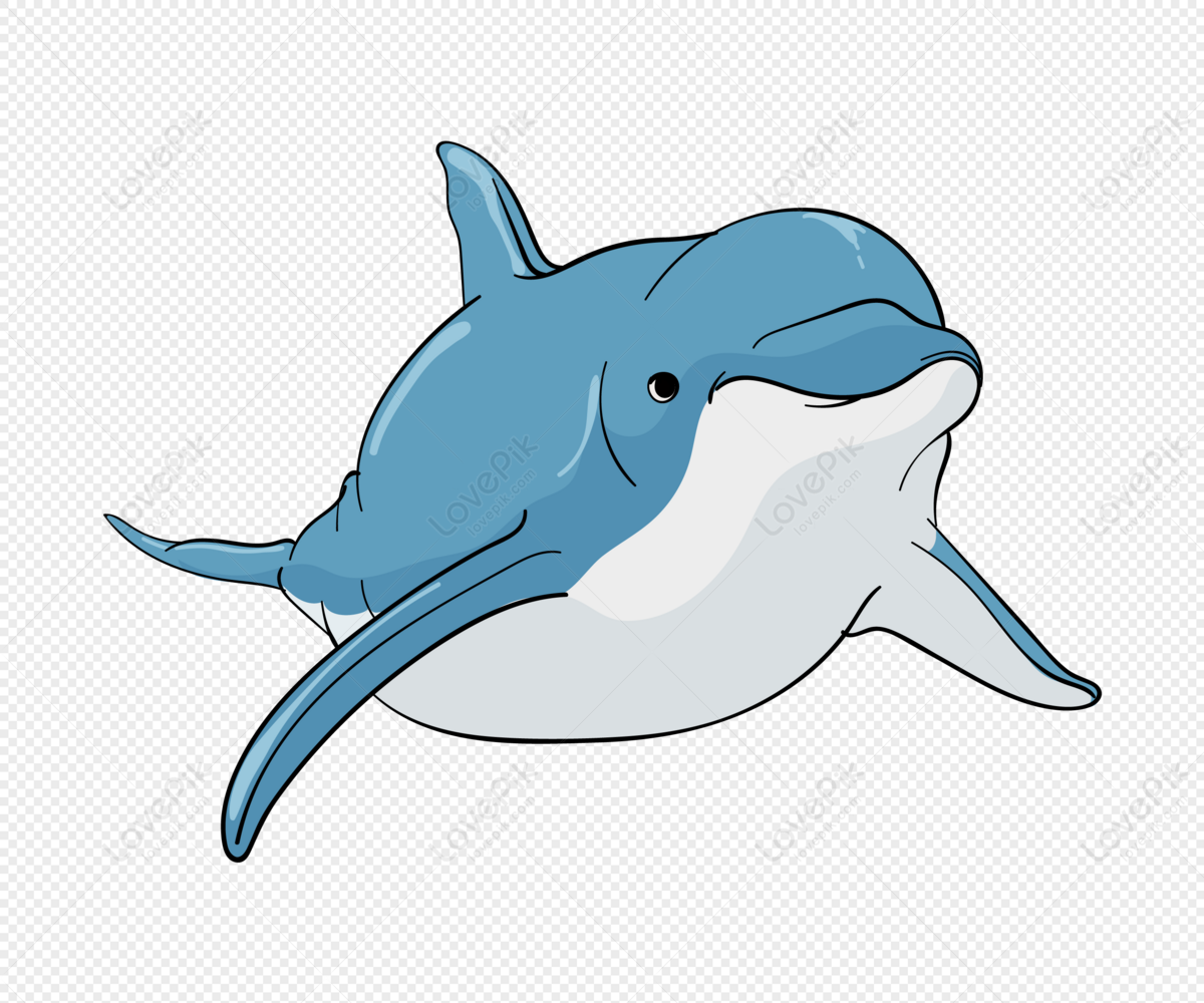 Cute Dolphin Watercolor Illustration Clipart Ocean Stock Illustration  2298703177 | Shutterstock