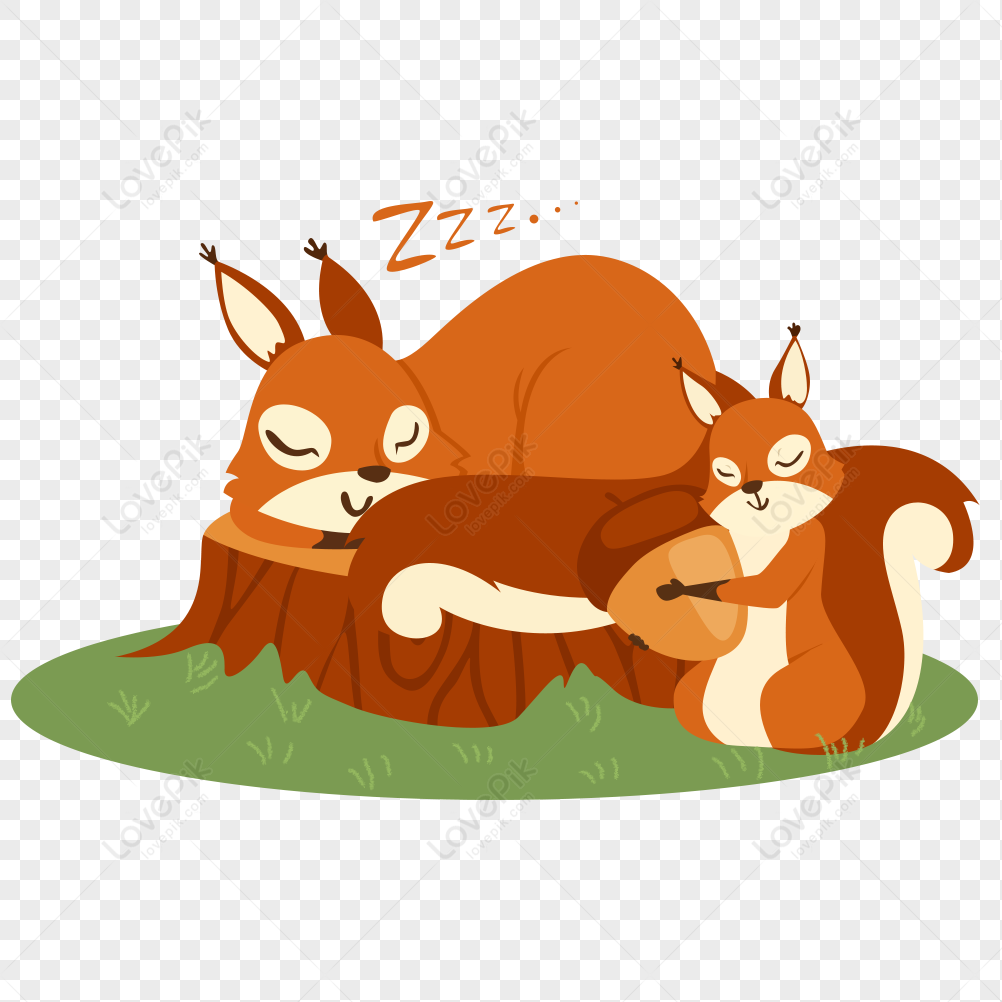 European Red Squirrel PNG Image And Clipart Image For Free Download -  Lovepik | 401528808