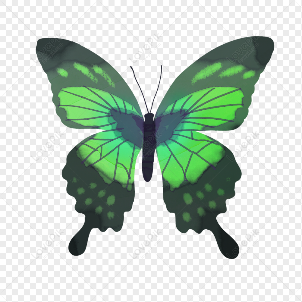 Черно зеленые бабочки. Зеленая бабочка Трейды. Распечать зелёные бабочки. Тени маленькая розово зелёная с бабочкой.