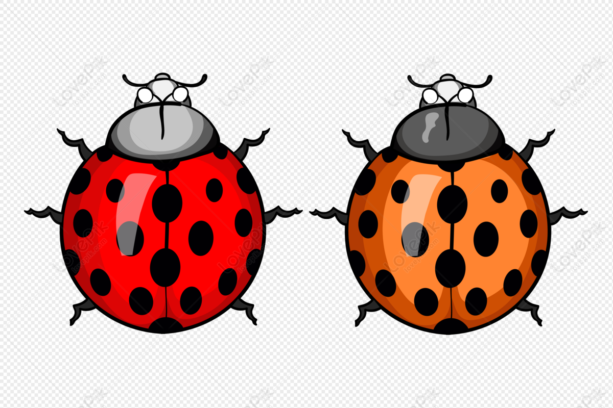 Ladybugs Vector PNG Images, Ladybug, Ladybug Clipart, Vintage, Dot PNG  Image For Free Download