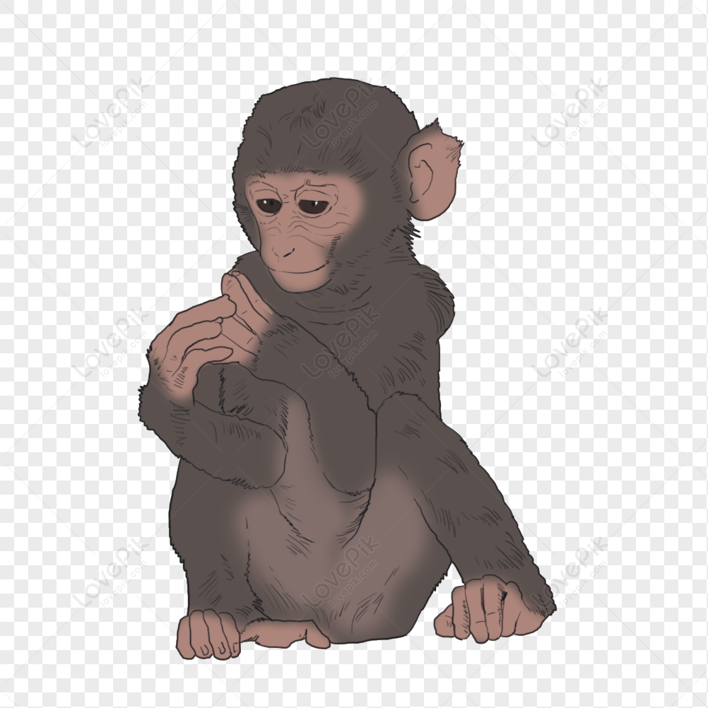Baixe Macaco de desenho animado fofo sentado em um fundo preto PNG