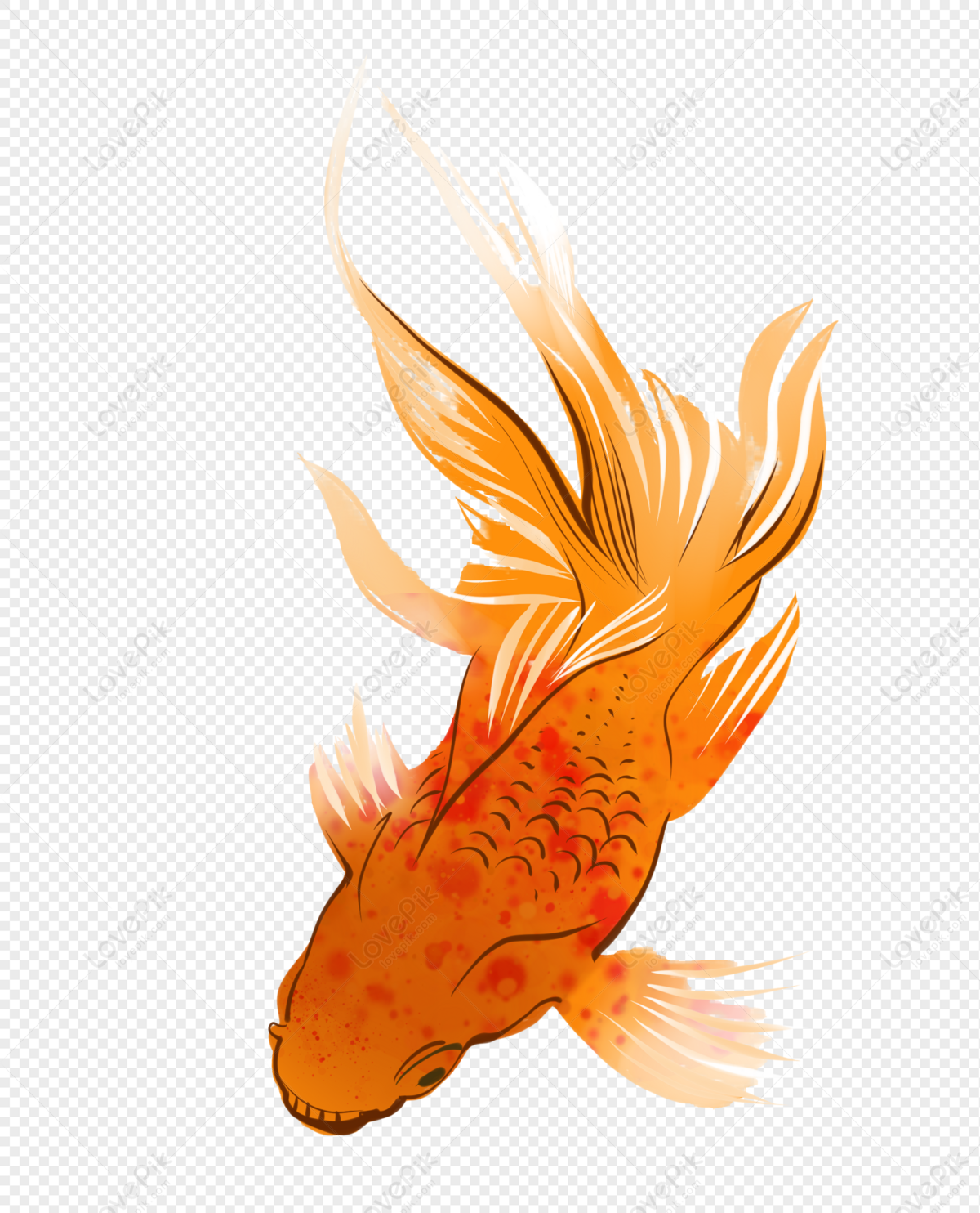 Orange Goldfish, Fish, Marine Life, Orange Fish PNG White Transparent