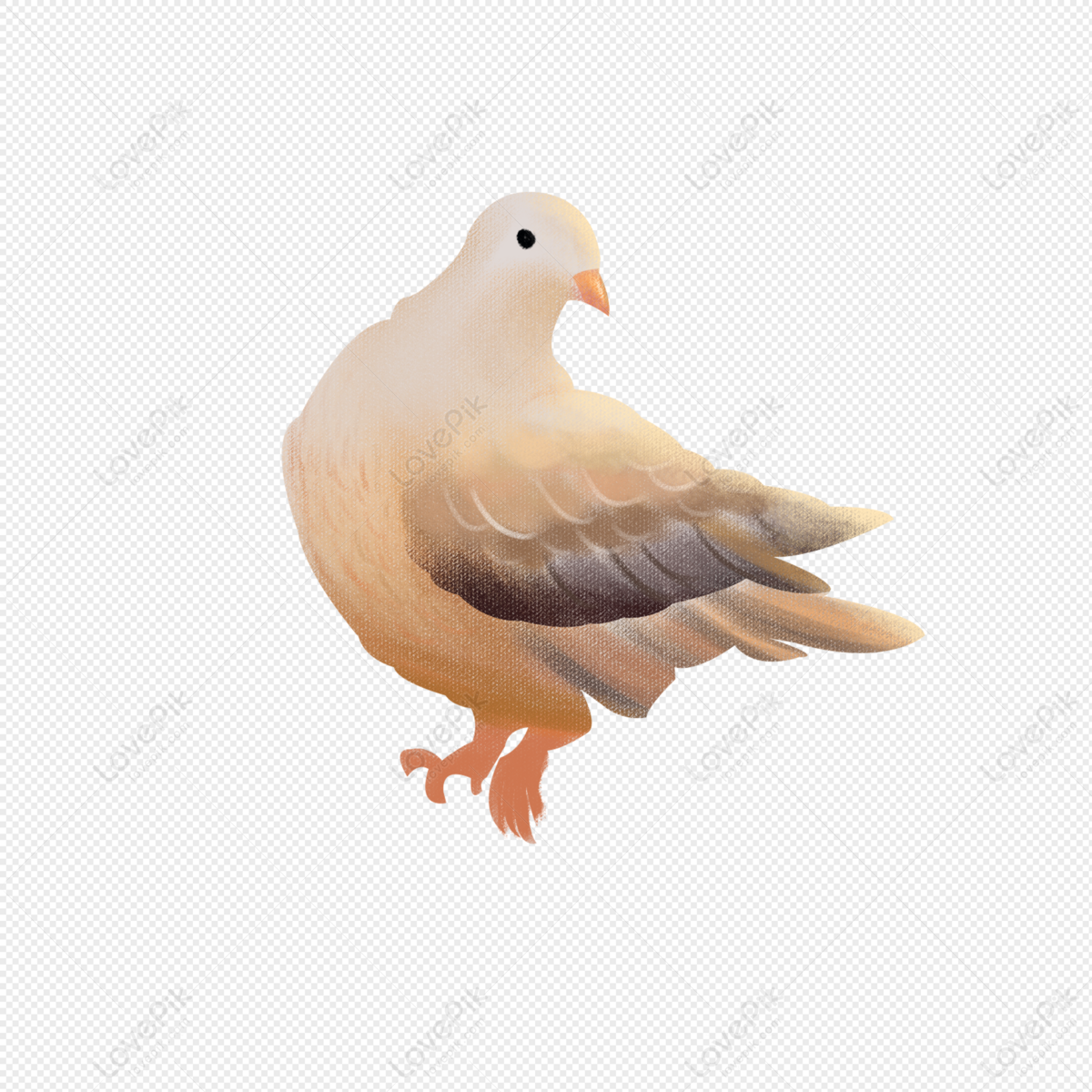 Pigeon PNG Image Free Download And Clipart Image For Free Download -  Lovepik | 401531551