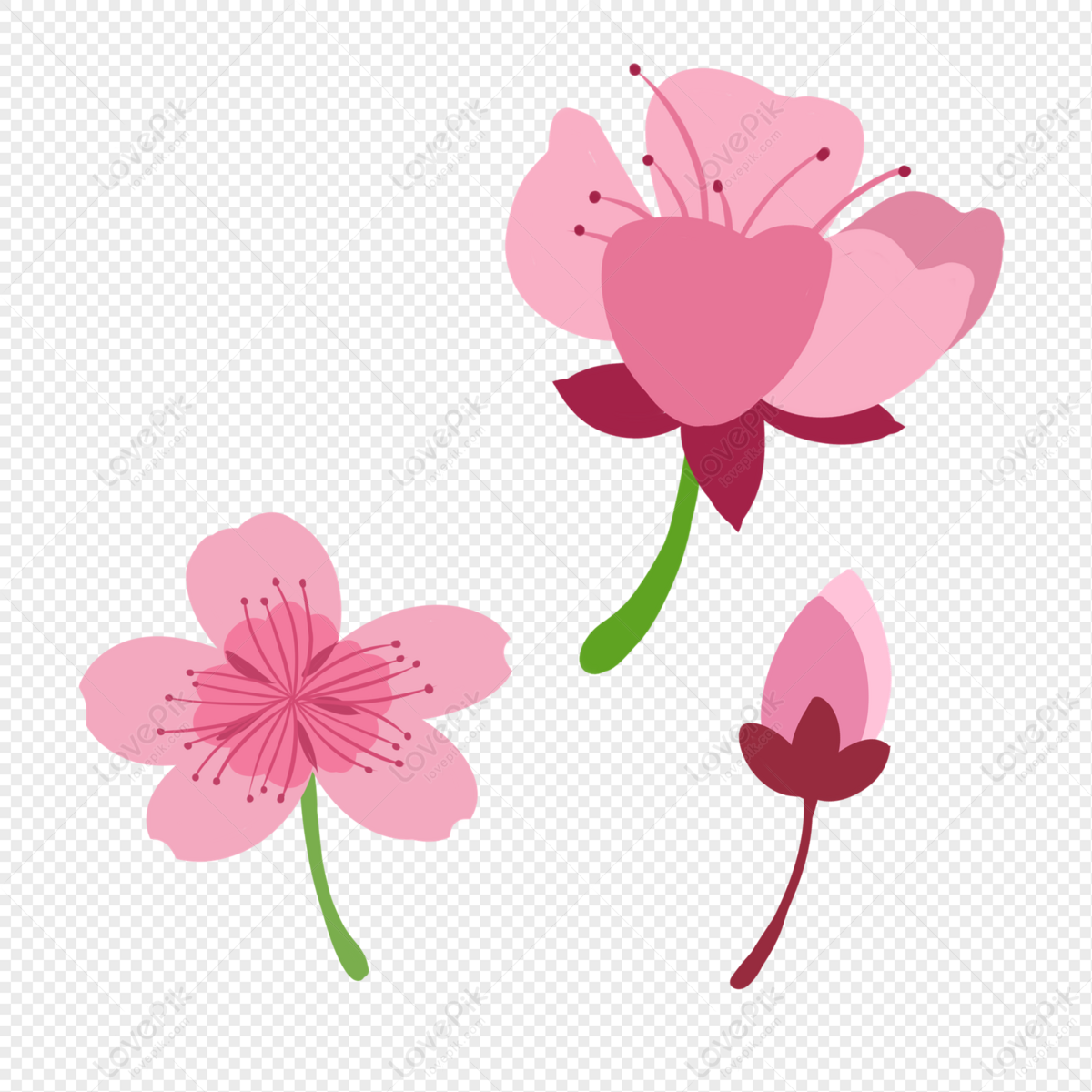 Flores Flores Rosadas Flores Hermosas Flores Decorativas PNG ,dibujos Flores  Decorativas, Flores De Dibujos Animados, Flores PNG y PSD para Descargar  Gratis