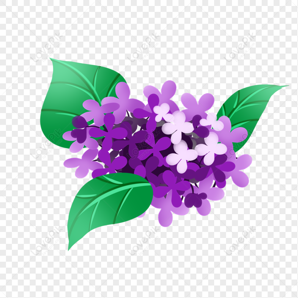 Hoa thủy tiên tím là một trong những loài hoa đẹp nhất trong tự nhiên. Hãy ngắm bức tranh mang tên \