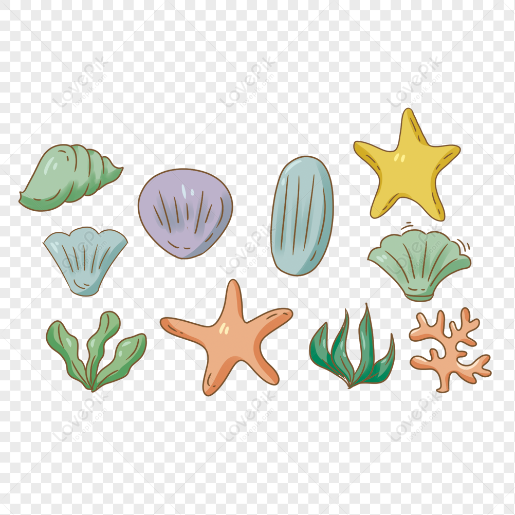 Watercolor summer beach seashell PNG set – WatercolorPNG
