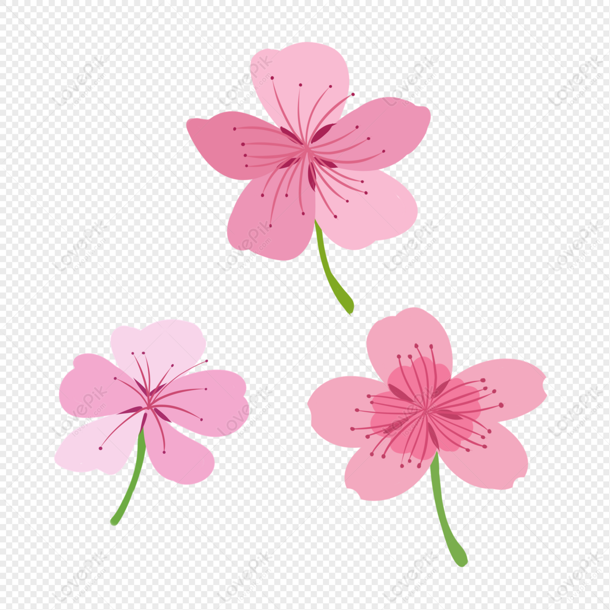 Tres Flores Rosas PNG Imágenes Gratis - Lovepik
