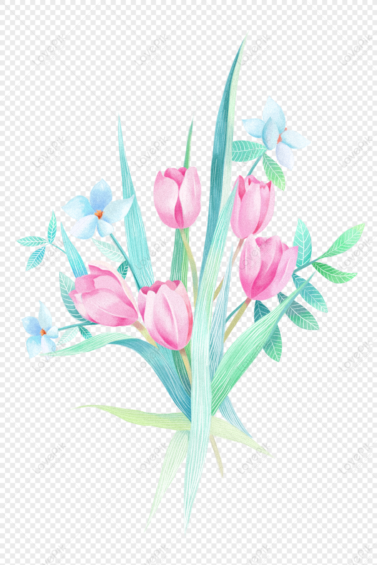 Tulipanes Y Orquideas PNG Imágenes Gratis - Lovepik