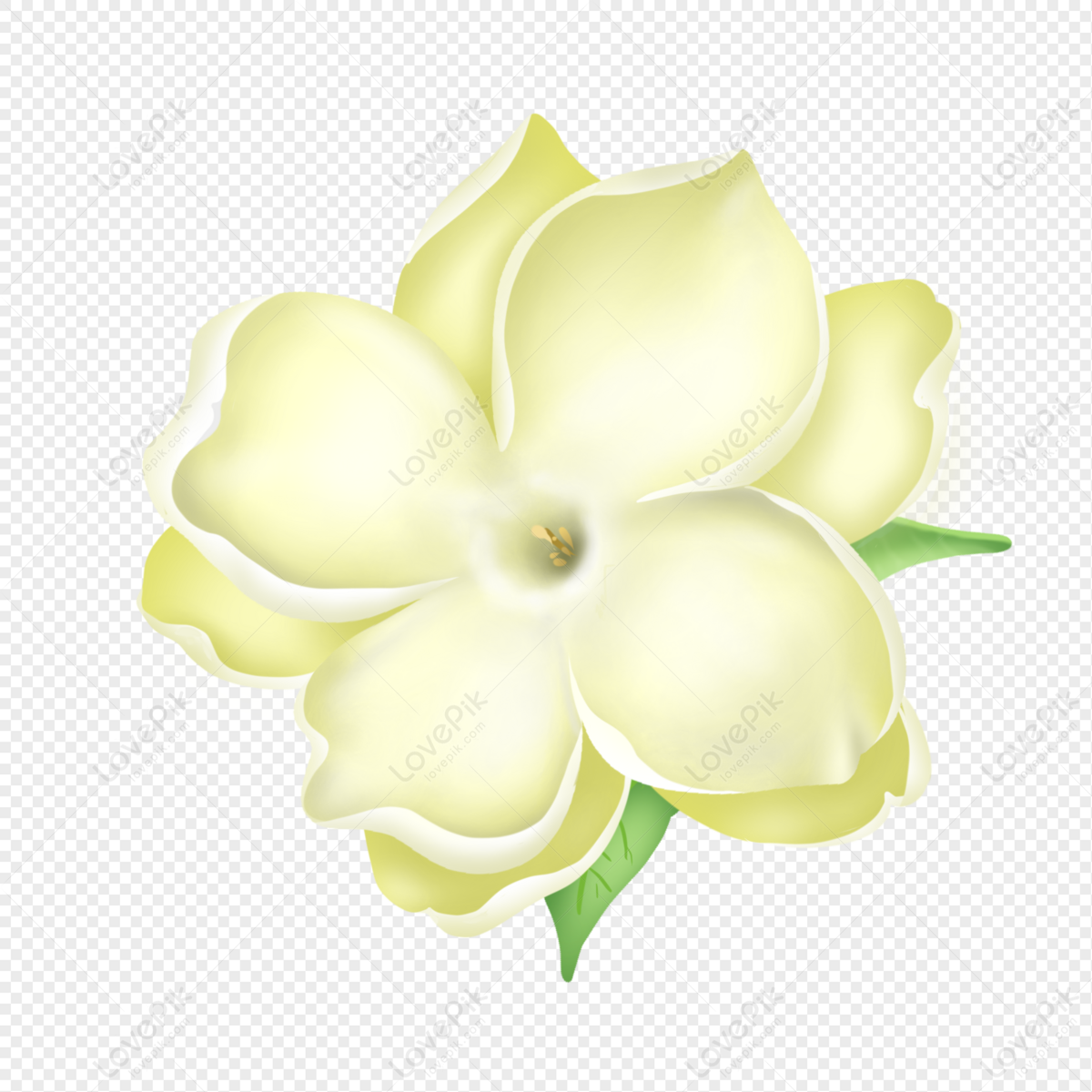 Delicadas Flores Amarillas PNG Imágenes Gratis - Lovepik
