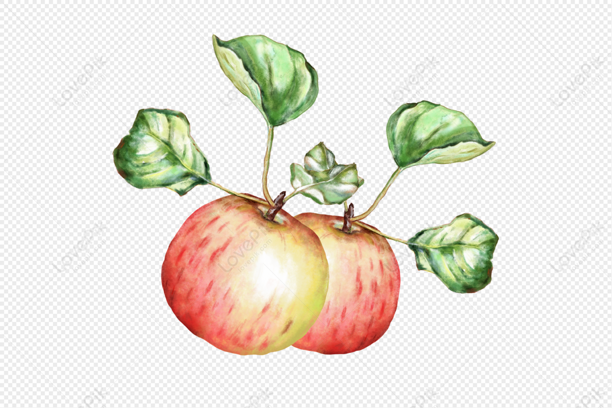Apple Fruit Images, HD Pictures For Free Vectors Download 