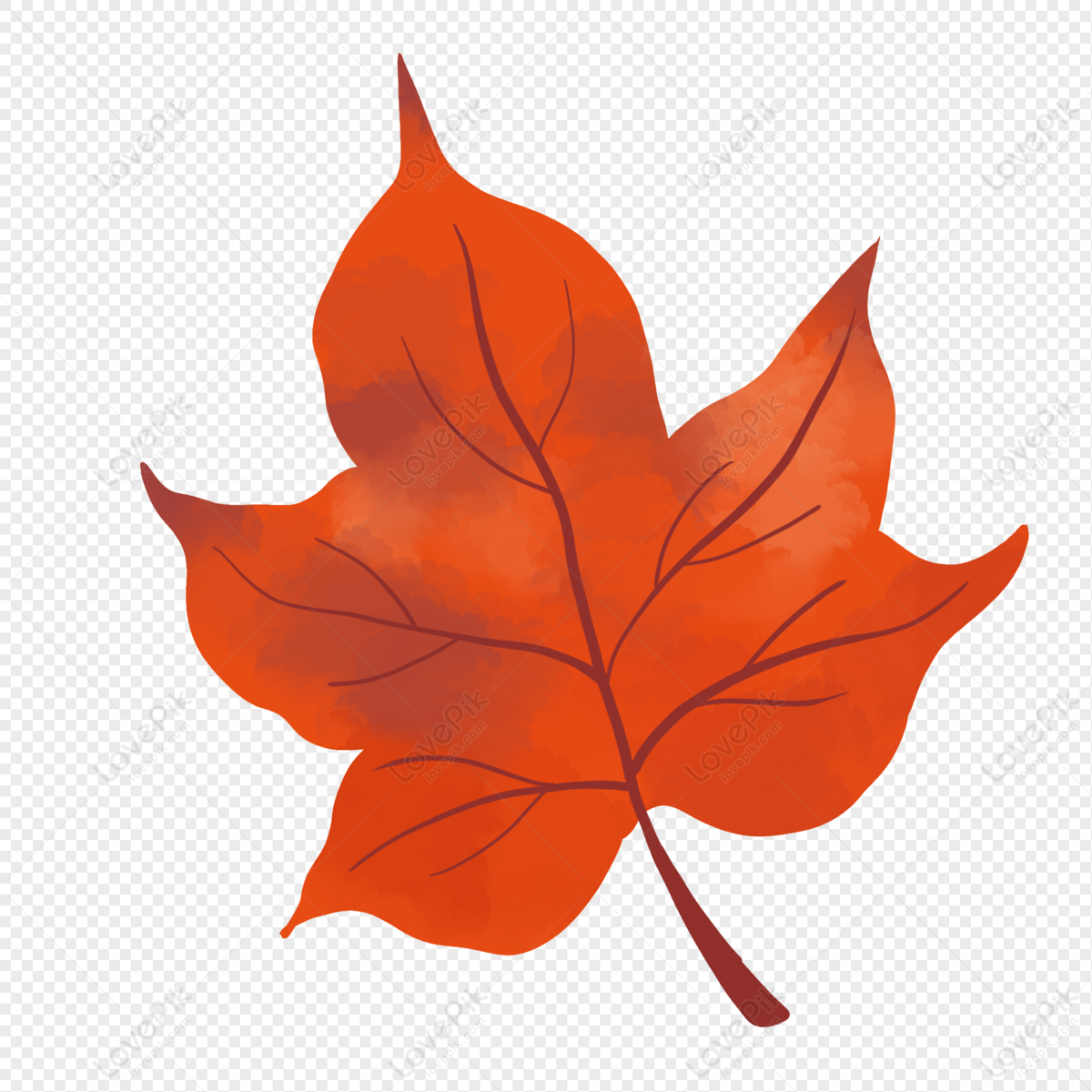 Red Maple Leaf Clipart Hd PNG, Cartoon Hand Drawn Cute Maple Leaf  Illustration, Maple Leaf Clipart, Maple Leaves, Texture PNG Image For Free  Download