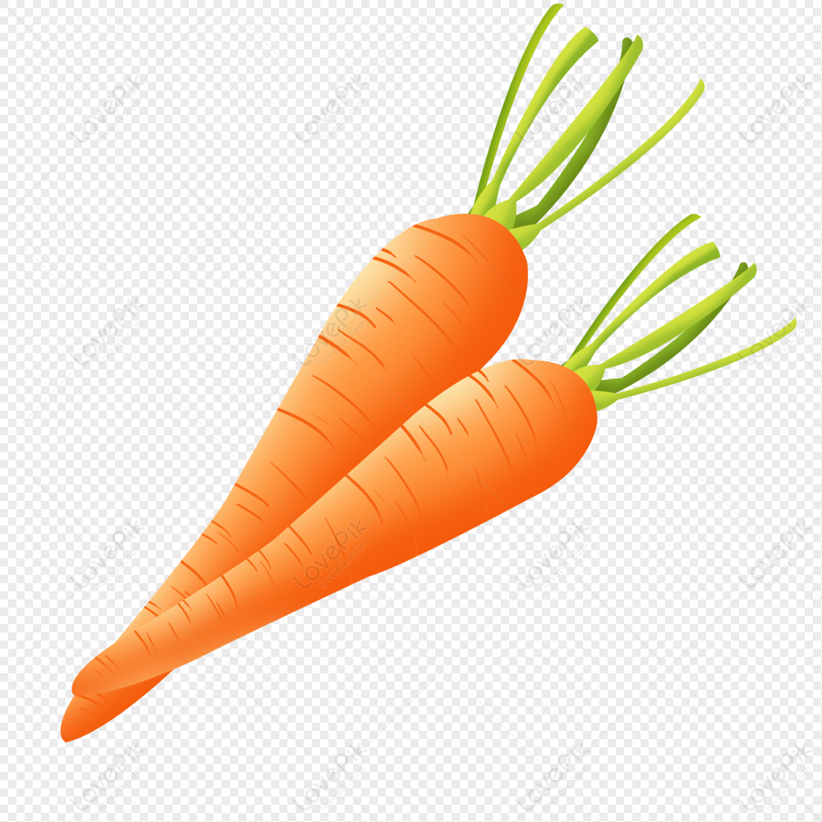 Cartoon Autumn Carrot PNG Picture And Clipart Image For Free Download -  Lovepik | 401548805