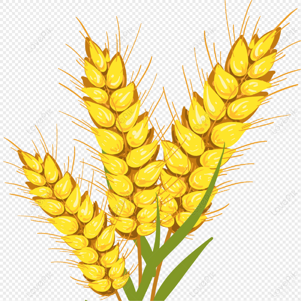 Cartoon Golden Yellow Full Of Wheat Ears PNG Transparent Image And Clipart  Image For Free Download - Lovepik | 401555657