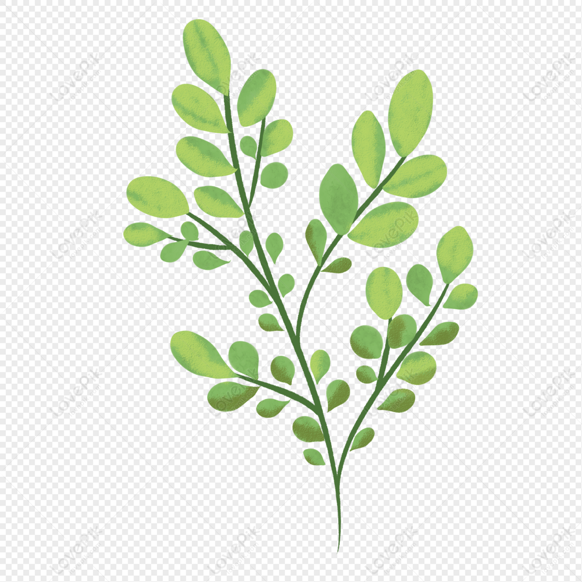 Cartoon Green Leaves Images, HD Pictures For Free Vectors Download -  