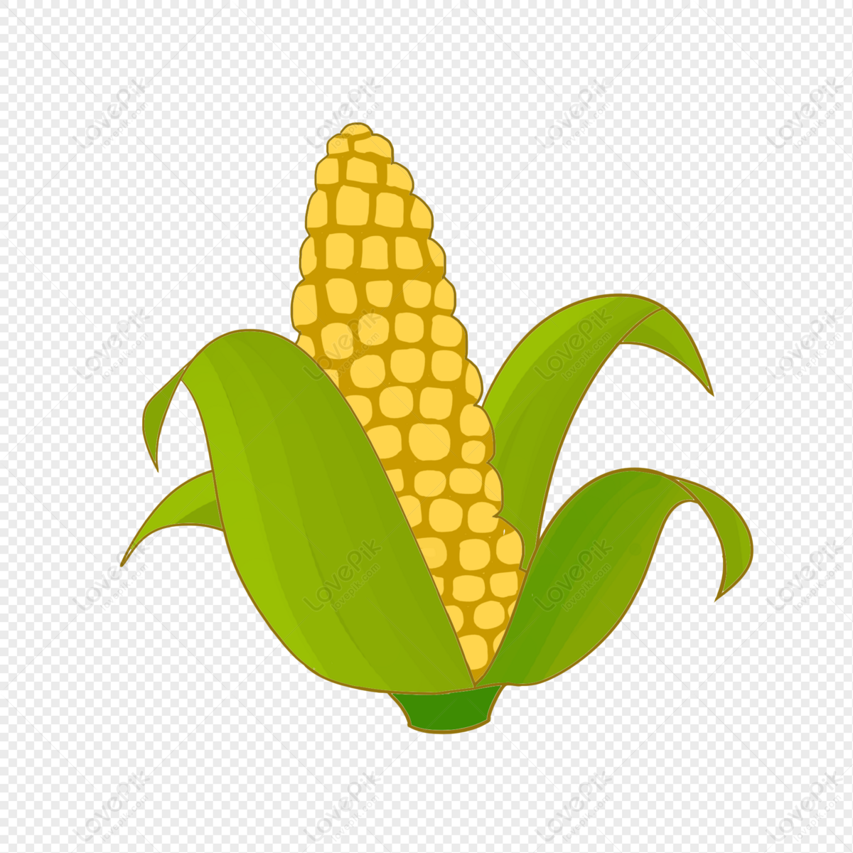 Corn PNG Transparent Background And Clipart Image For Free Download -  Lovepik | 401550850