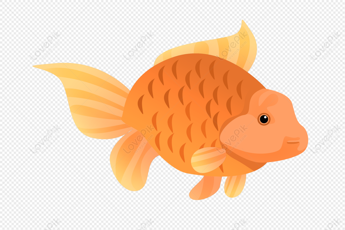 Cute Orange Cartoon Fish PNG Transparent Background And Clipart Image For  Free Download - Lovepik | 401544210