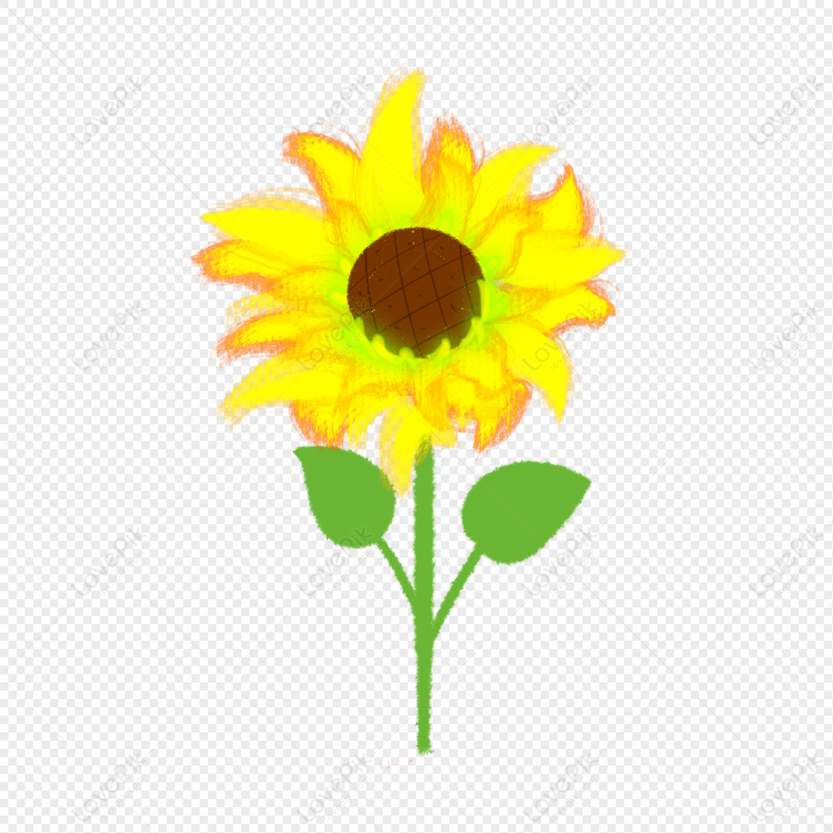 Sunflower Doodle PNG Images With Transparent Background | Free Download ...