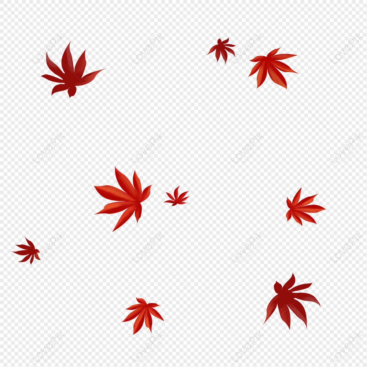 red maple leaf png