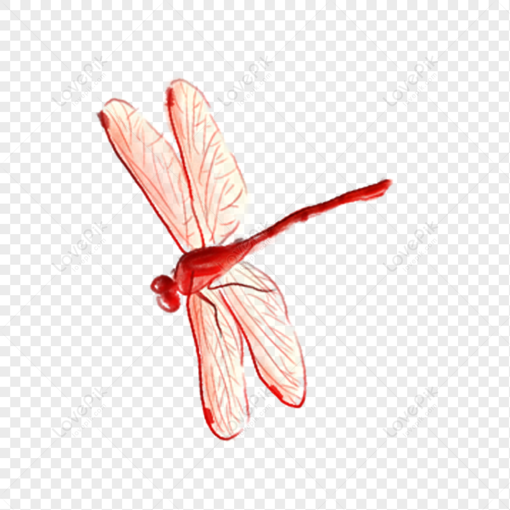 Flying Dragonfly, Flying, Flying Dragonflies, Dragonfly Logo Free Png 