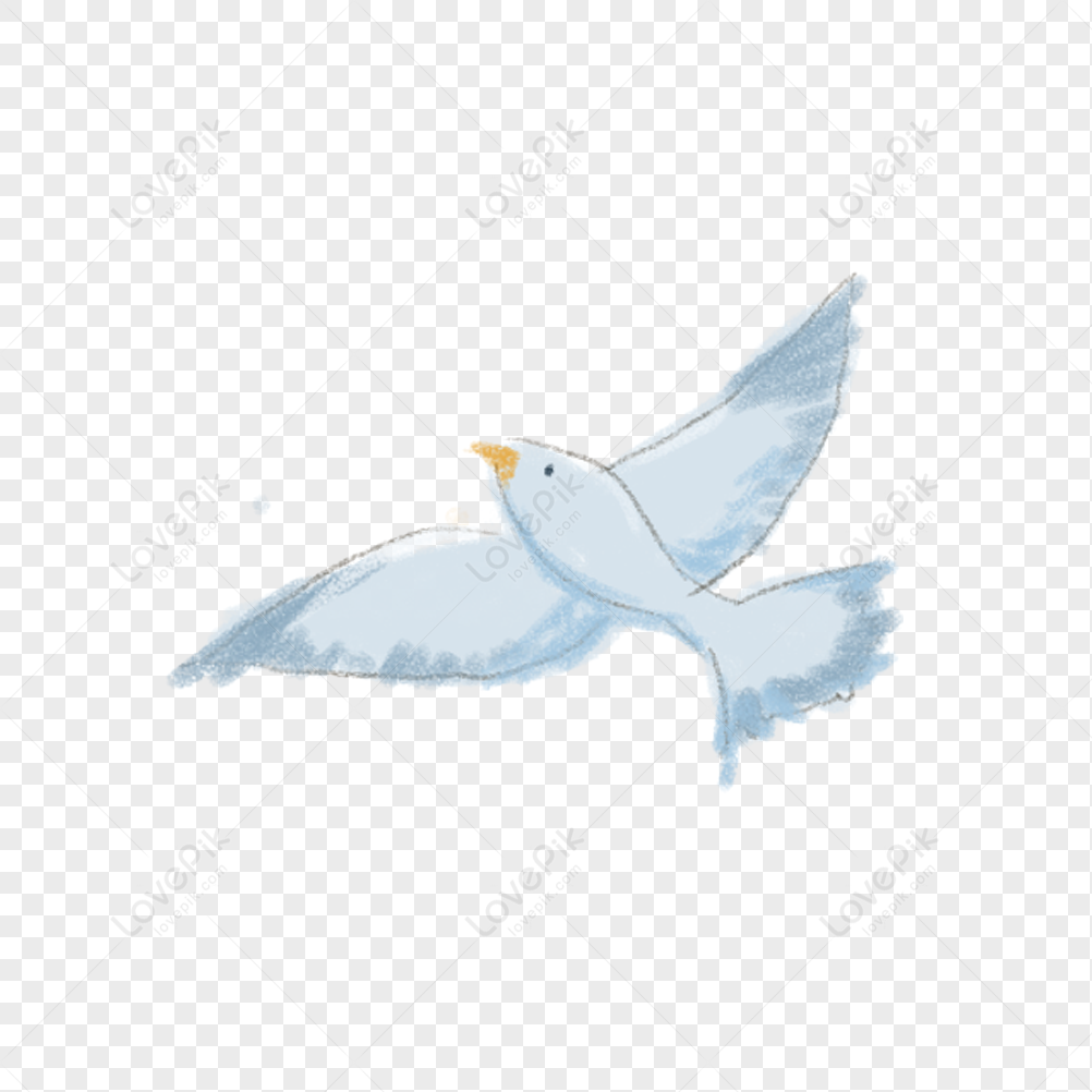 Flying Seagull PNG White Transparent And Clipart Image For Free ...