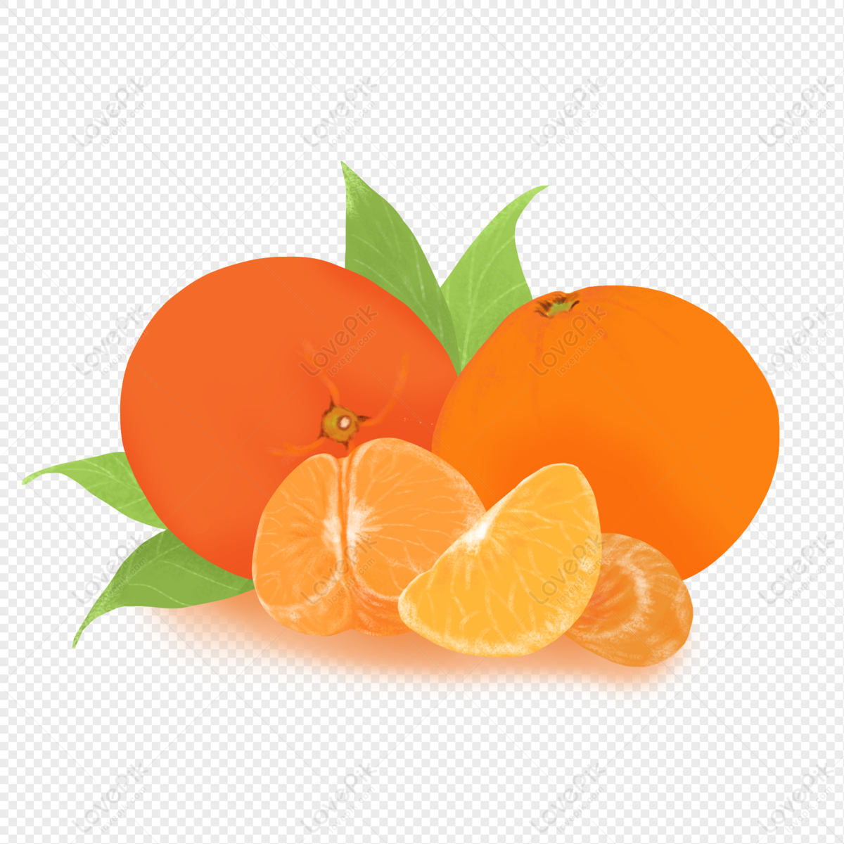 Fruit Orange Orange Cartoon Hand Drawn PNG White Transparent And Clipart  Image For Free Download - Lovepik | 401552022