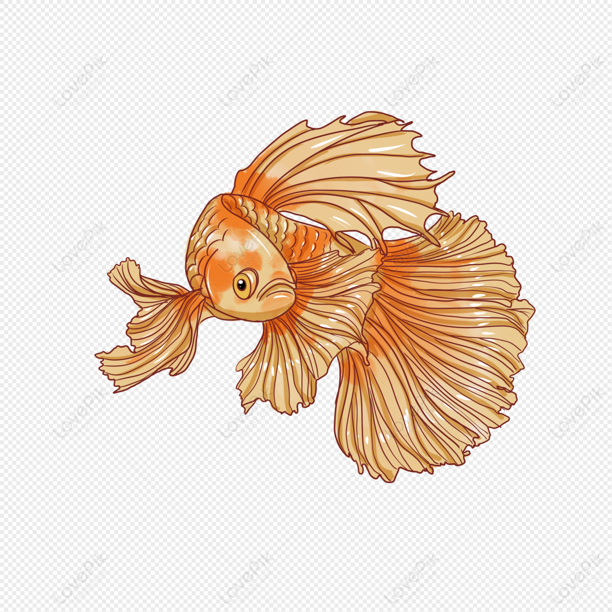 Betta Fish PNG Images With Transparent Background | Free Download On Lovepik