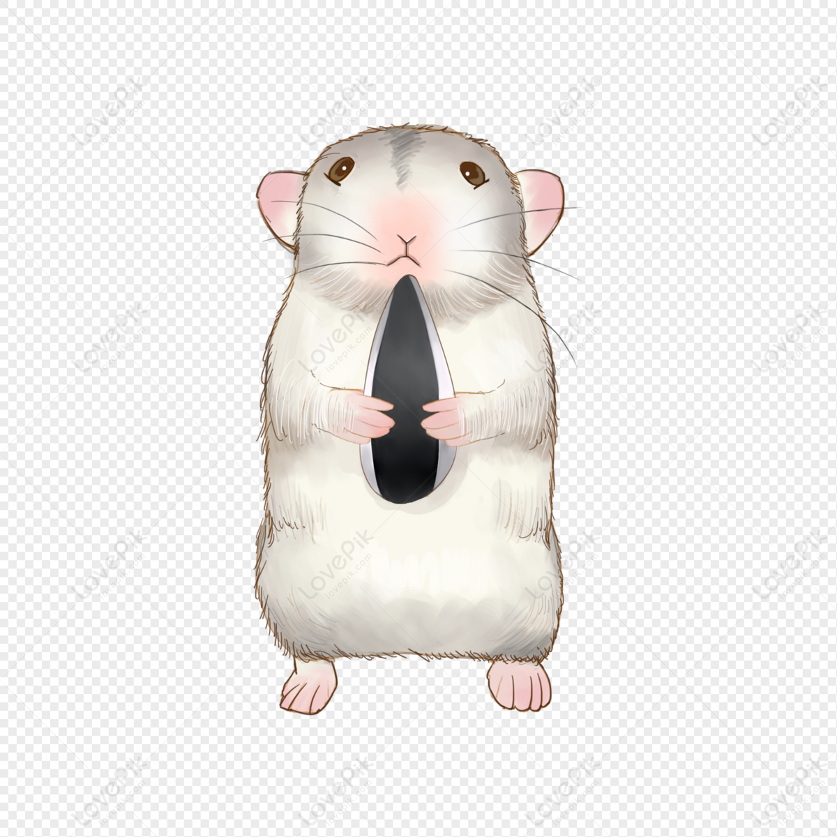 Chuột Hamster - 12 điều thú vị - Hỏi Đáp Thú y