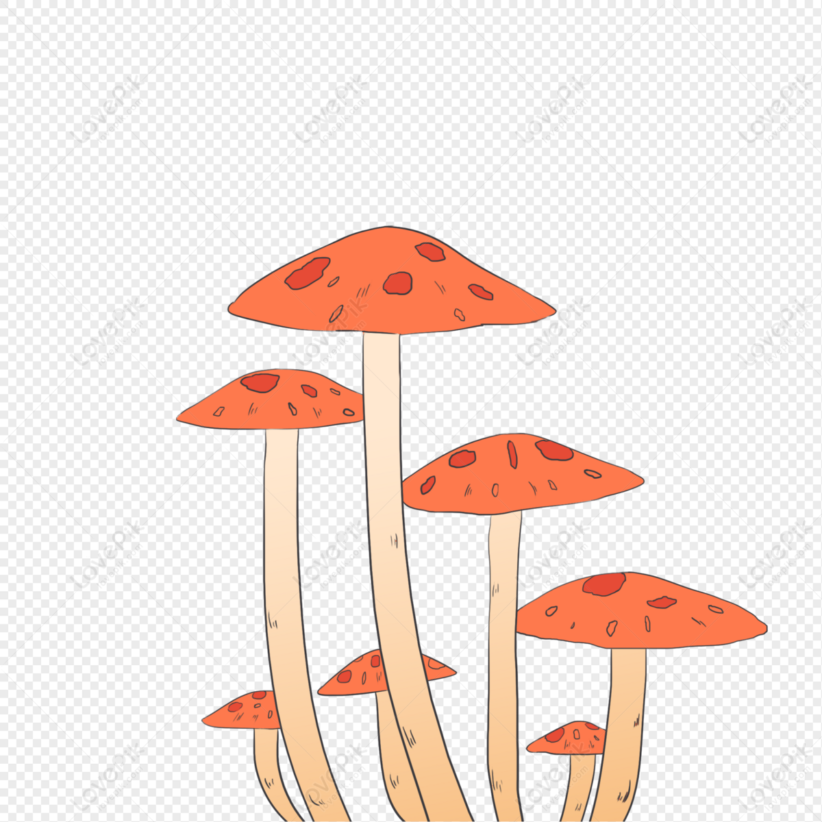 Hand Drawn Cartoon Mushroom PNG Transparent Background And Clipart Image  For Free Download - Lovepik | 401556270