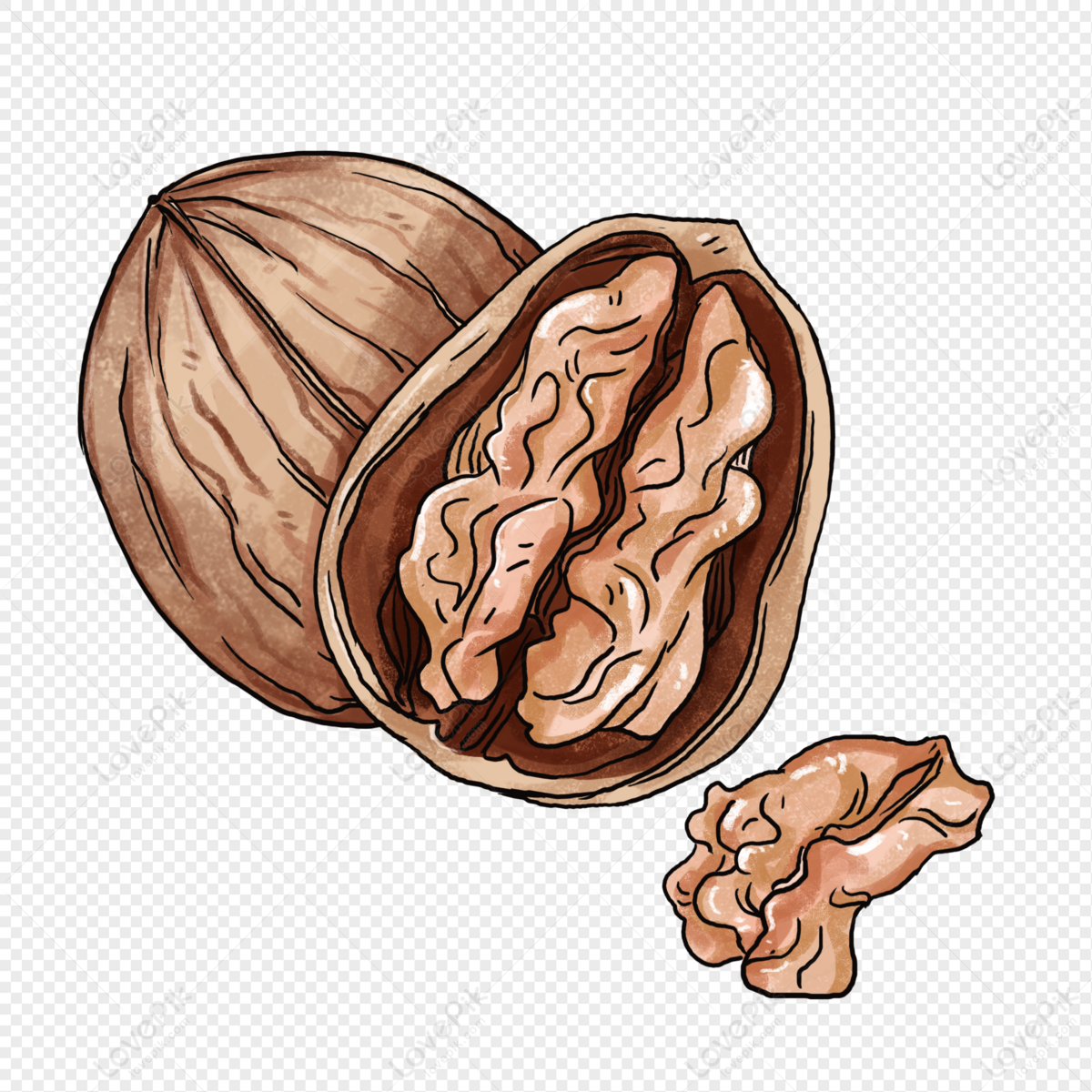 Open Walnut PNG Free Download And Clipart Image For Free Download ...