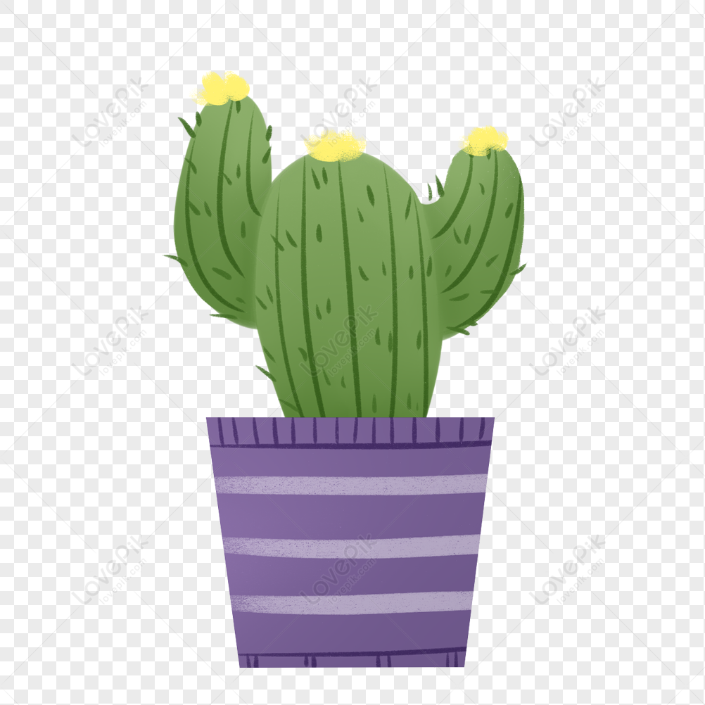 Cartoon Cactus Potted Plant Plant Cactus PNG , Cacto Clipart, Cacto Dos  Desenhos Animados, Vaso De Planta Imagem PNG e PSD Para Download Gratuito