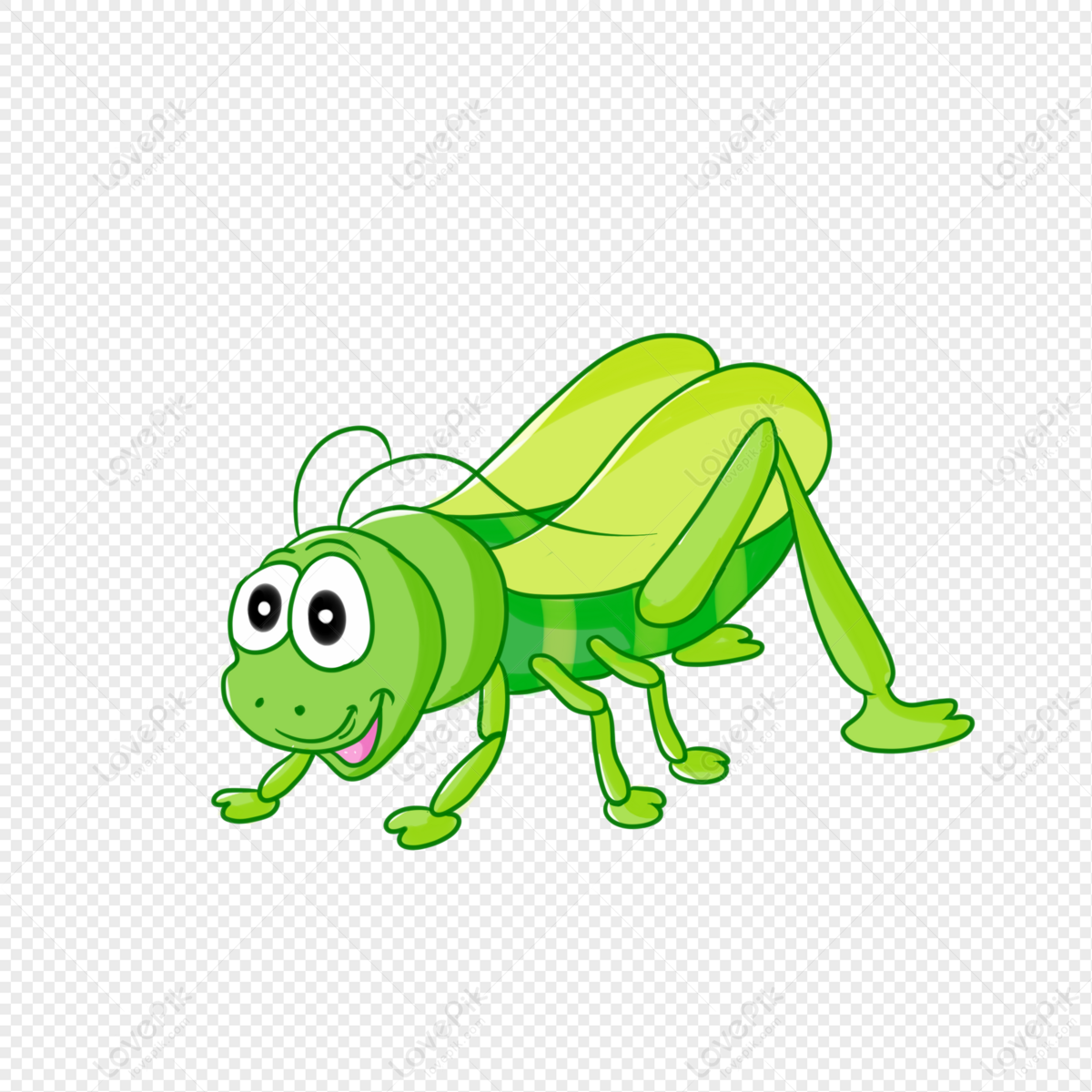 Small Animal Grasshopper PNG Image Free Download And Clipart Image For Free  Download - Lovepik | 401550071