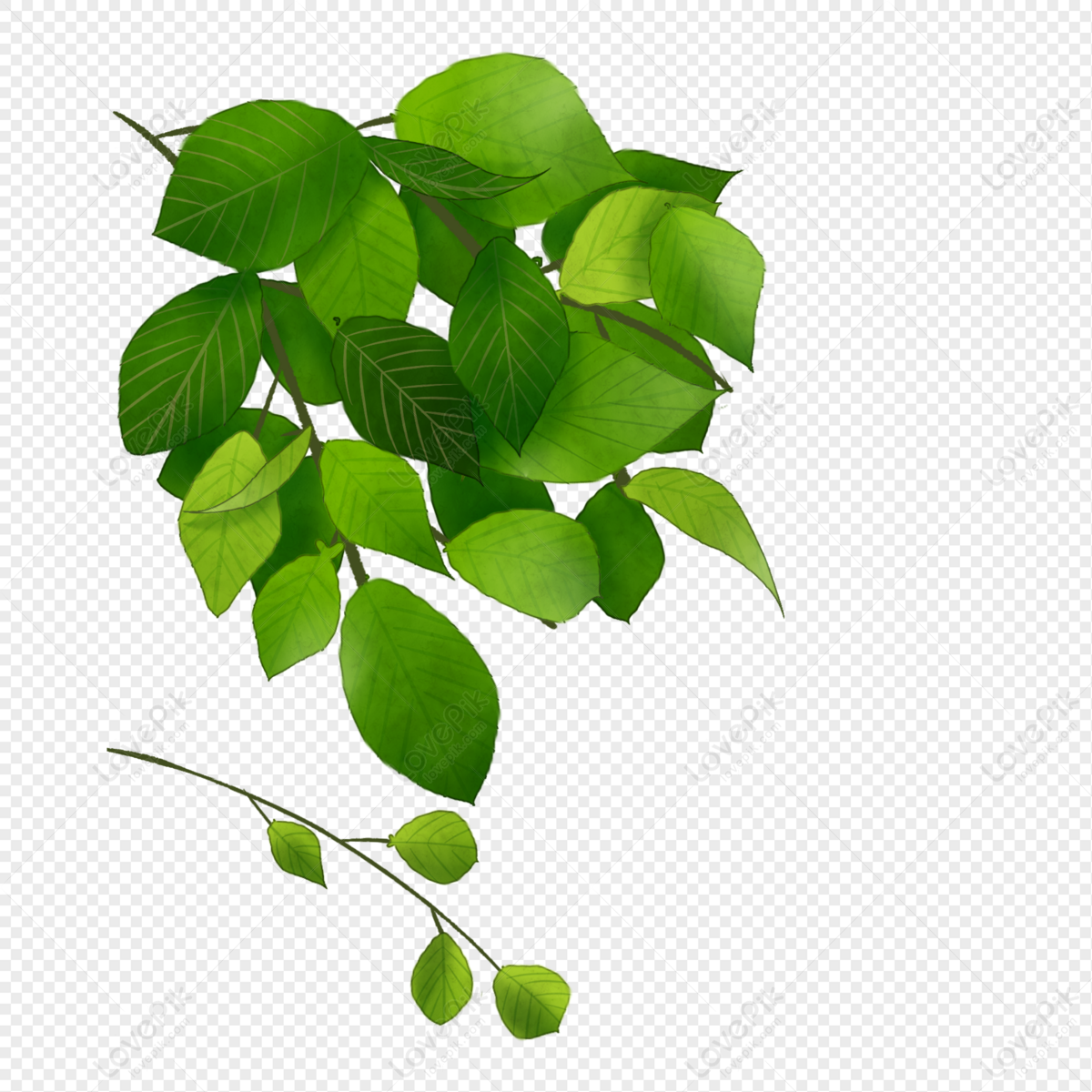 Spring Cartoon Leaves PNG Transparent And Clipart Image For Free Download -  Lovepik | 401569736