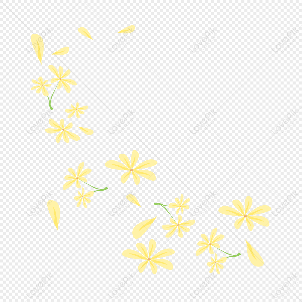 flower with petals falling