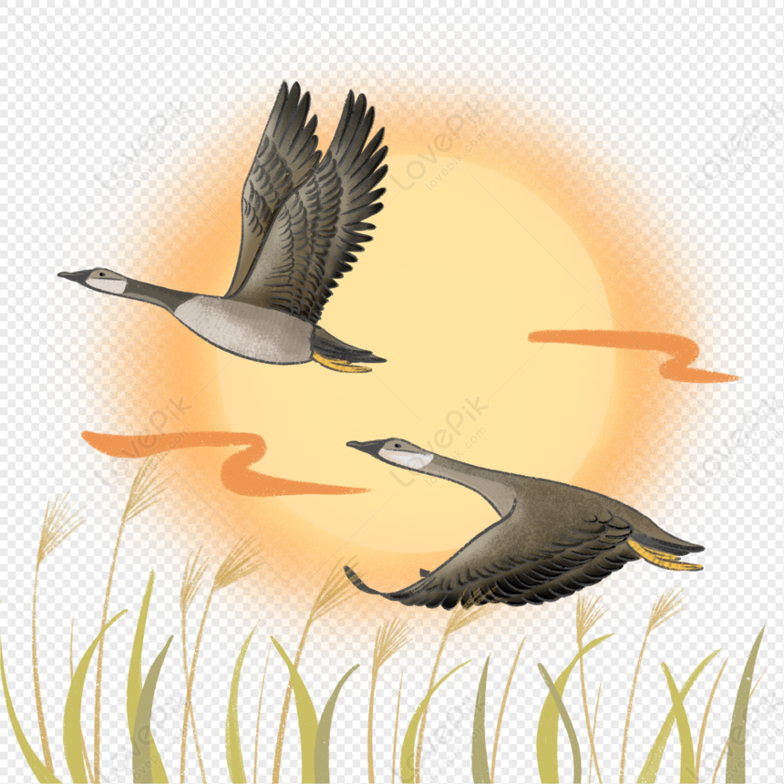 Autumn Geese Flying South PNG Image Free Download And Clipart Image For ...