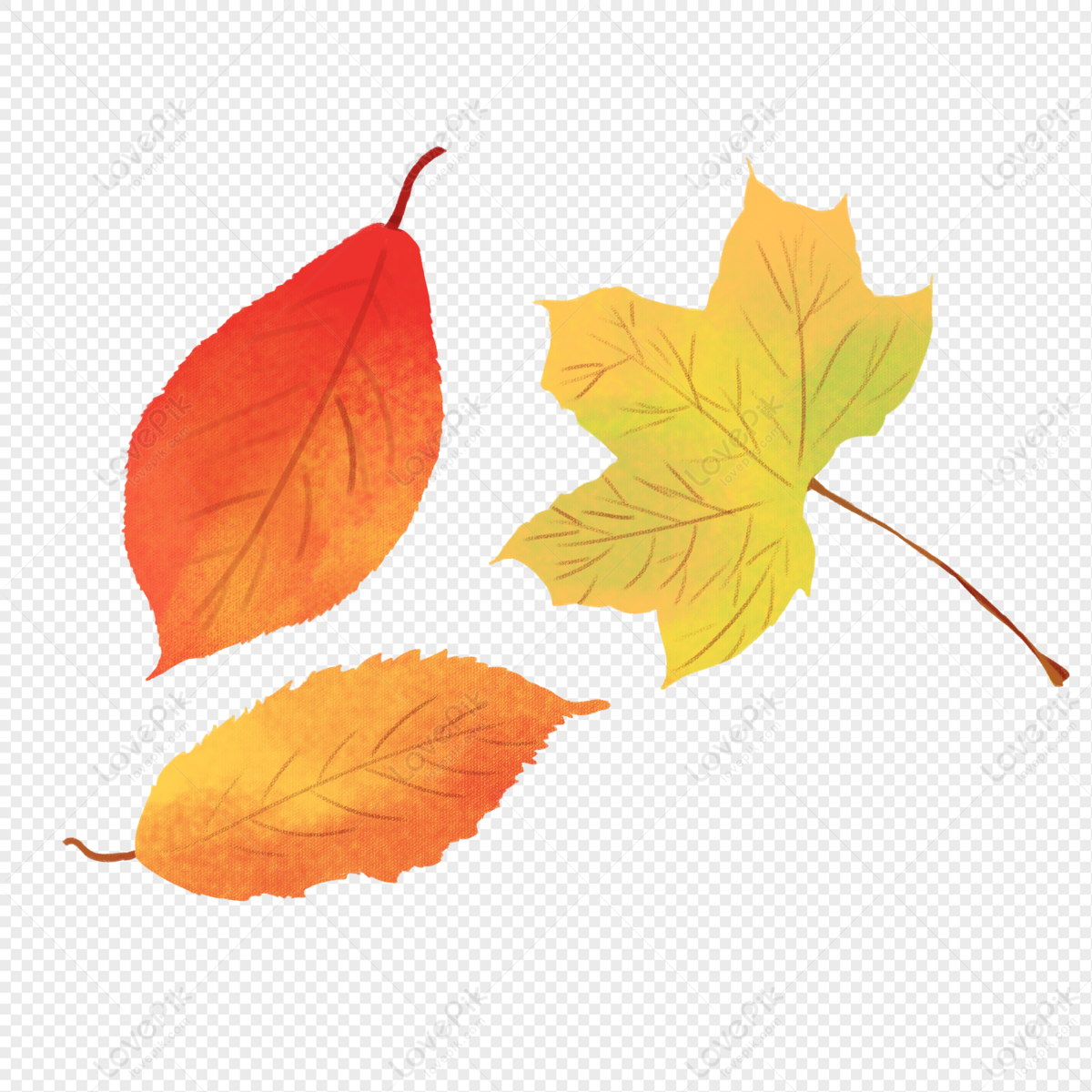 The smARTteacher Resource: 5th Grade - Fall Leaves