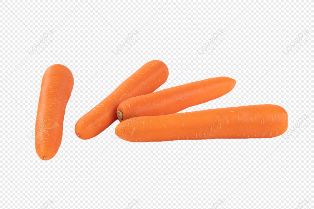 gambar wortel