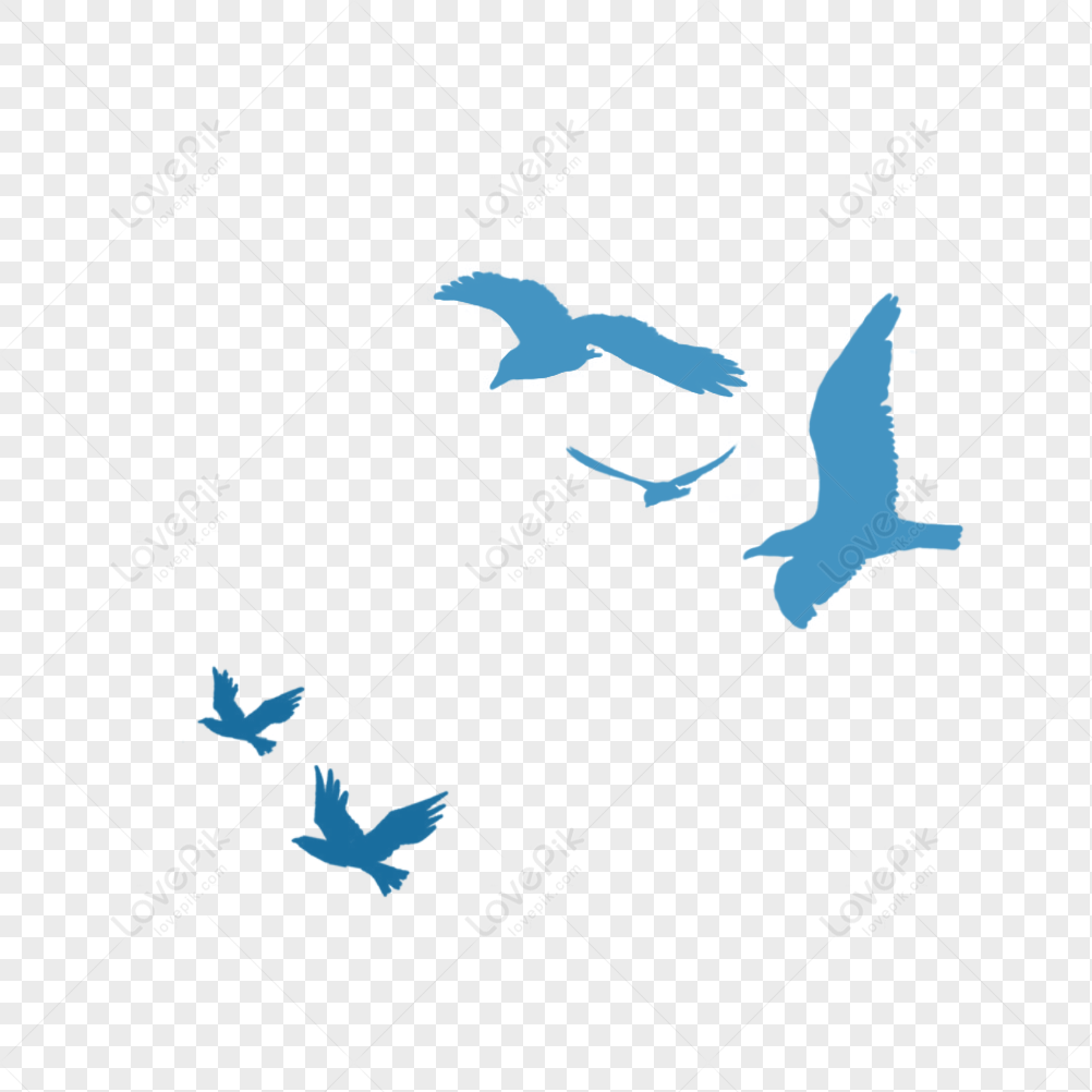 Flying Birds PNG Transparent Background And Clipart Image For Free Download  - Lovepik | 401587930