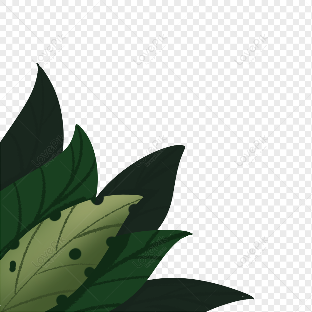 Hand Drawn Aesthetic Green Plant Picture PNG Hd Transparent Image And  Clipart Image For Free Download - Lovepik | 401600014