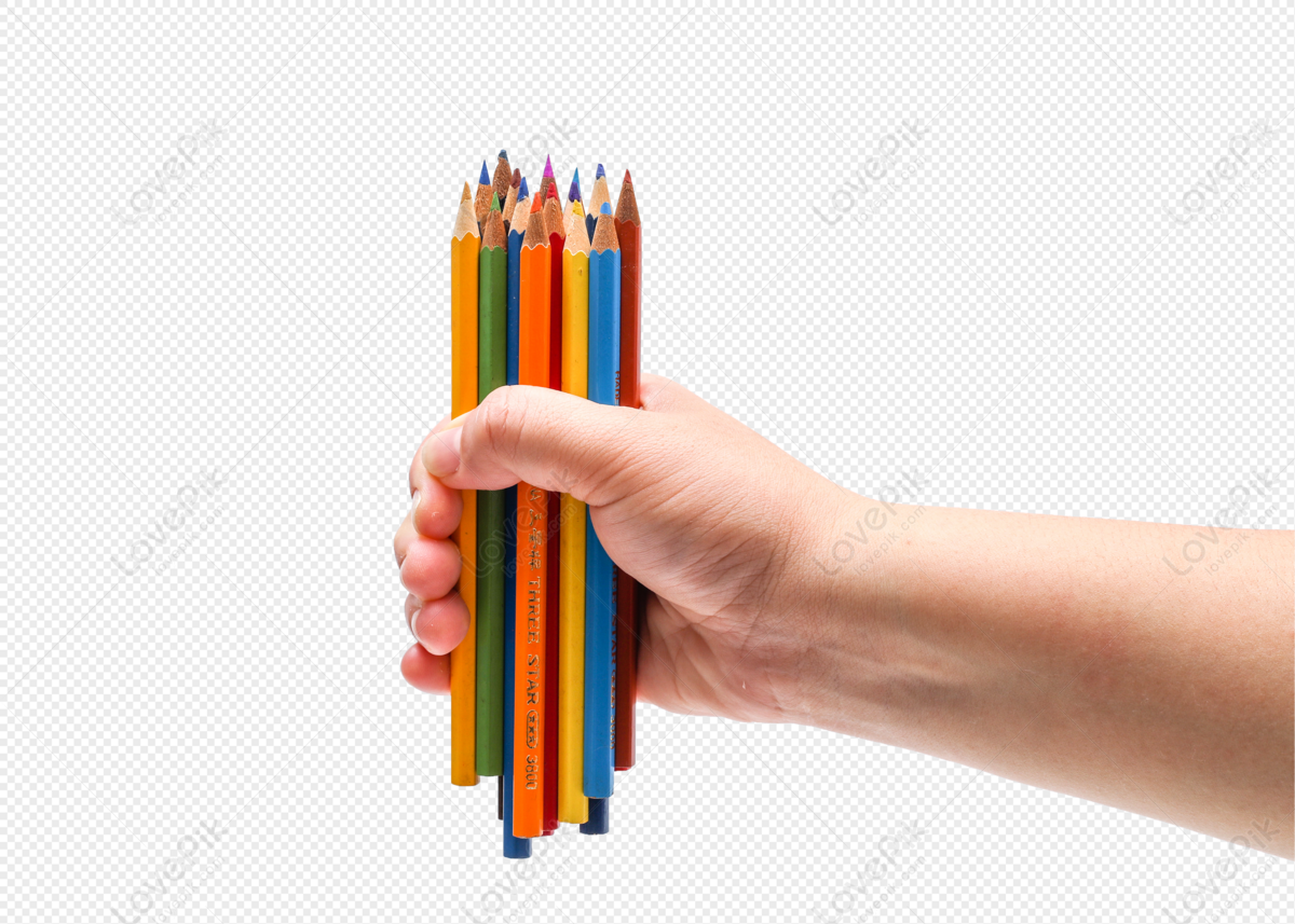 Colored Pencils With A Pencil Case Vector, Color Drawing, Pen Drawing,  Pencil Drawing PNG and Vector with Transparent Background for Free Download
