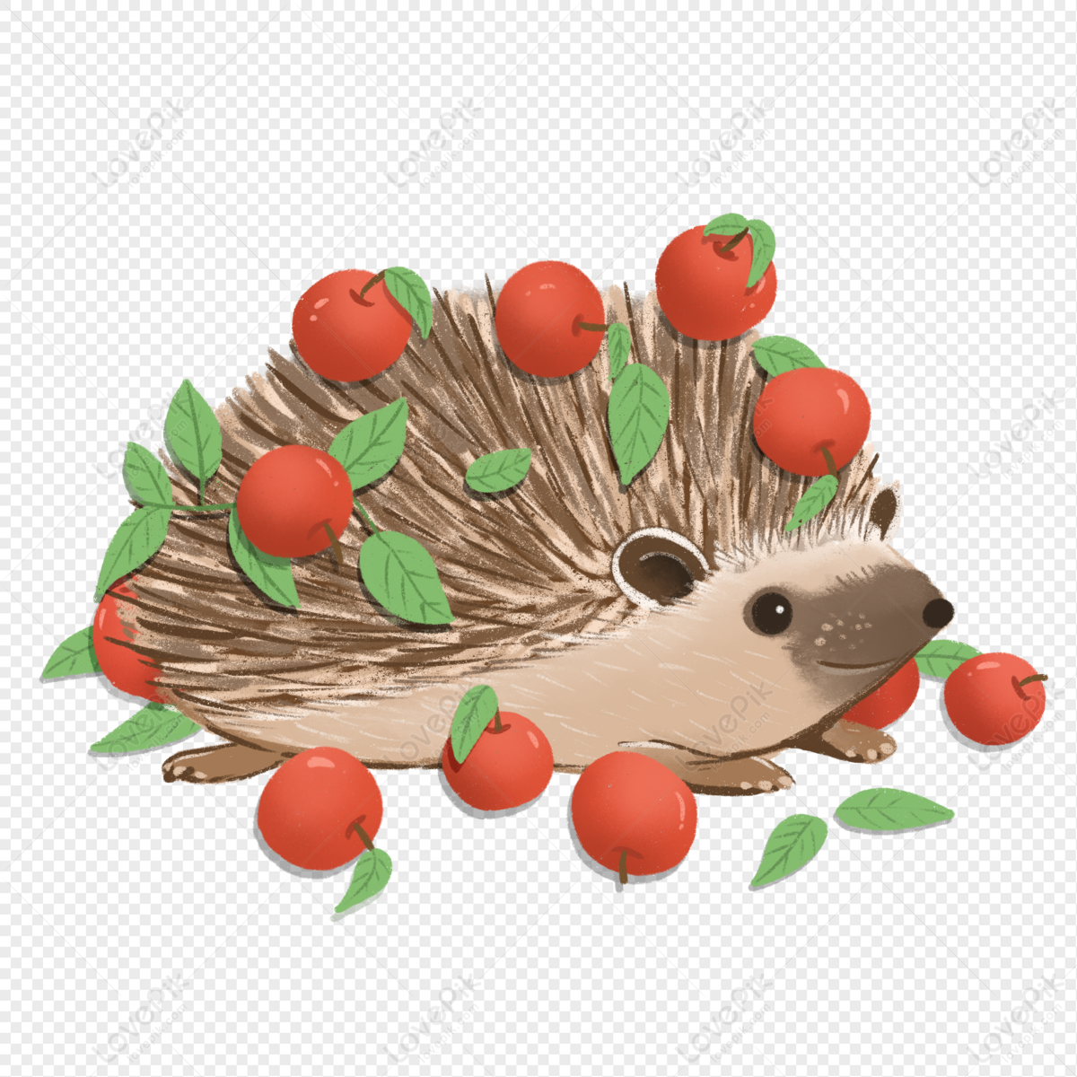 Cute Hedgehog Mascot Character Logo Cartoon Icon Illustration Stock  Illustration - Download Image Now - iStock