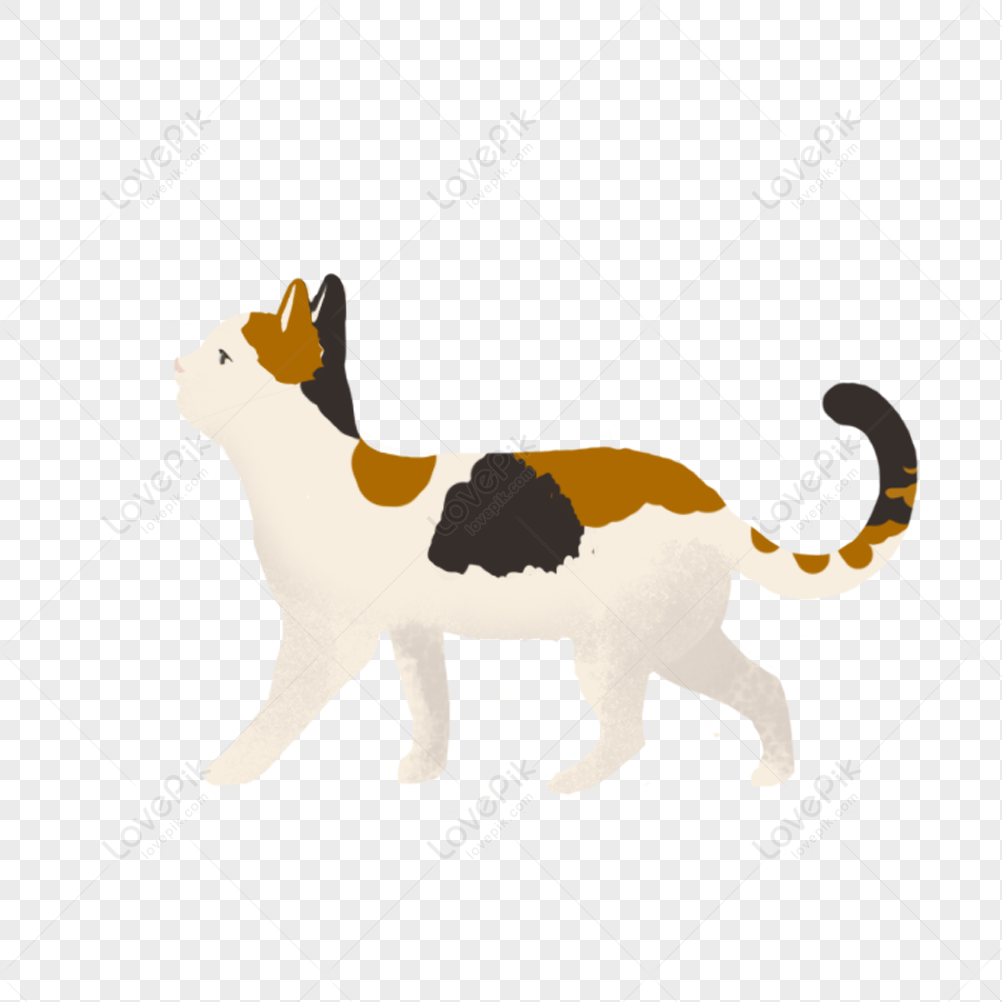 Kitten PNG Picture And Clipart Image For Free Download - Lovepik ...