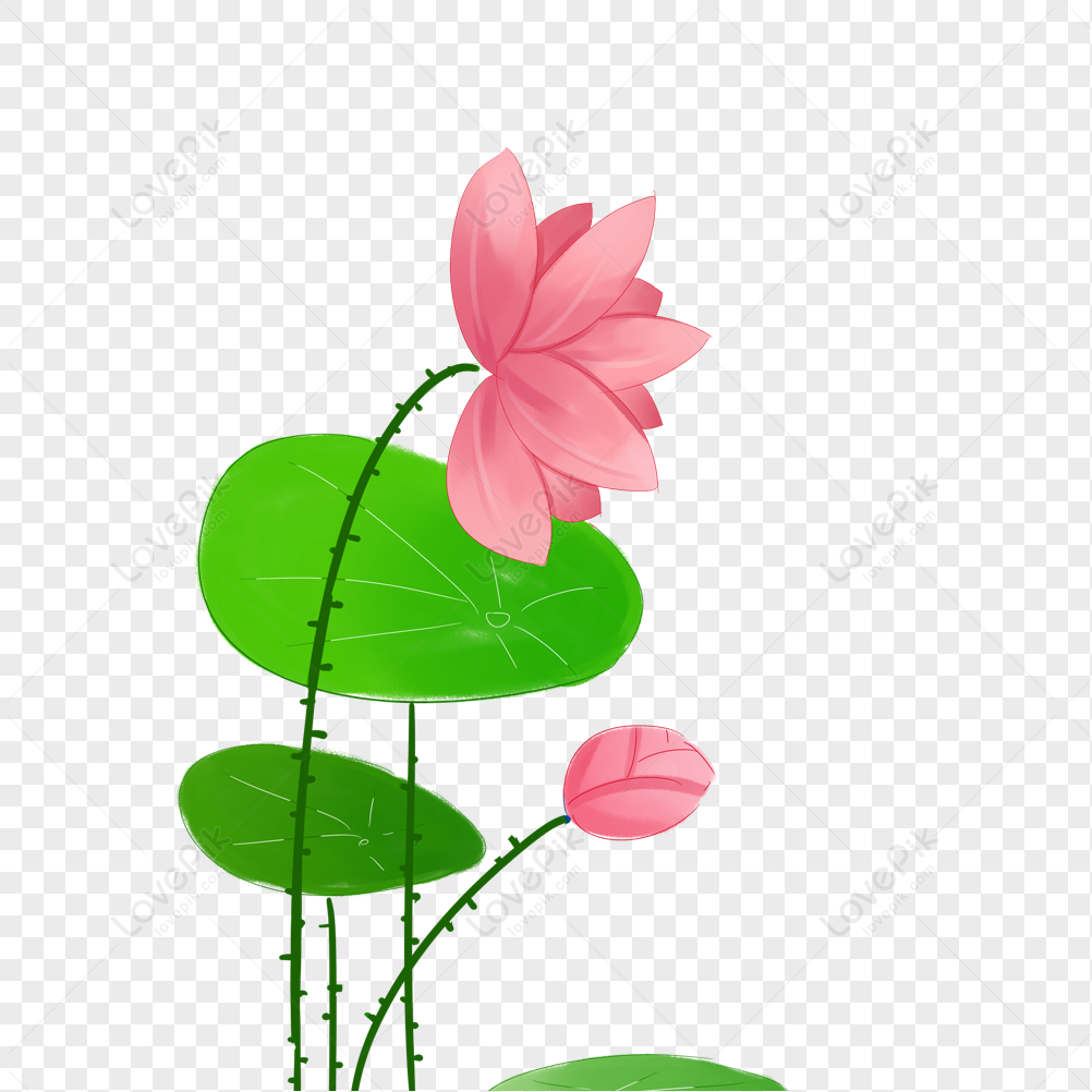 Lotus Petals Elements Elements Image, Lotus, Lotus, Flower PNG Hd ...