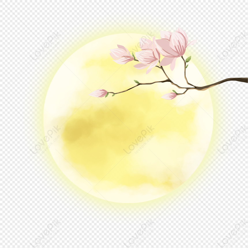 Magnolia Flor Luna PNG Imágenes Gratis - Lovepik