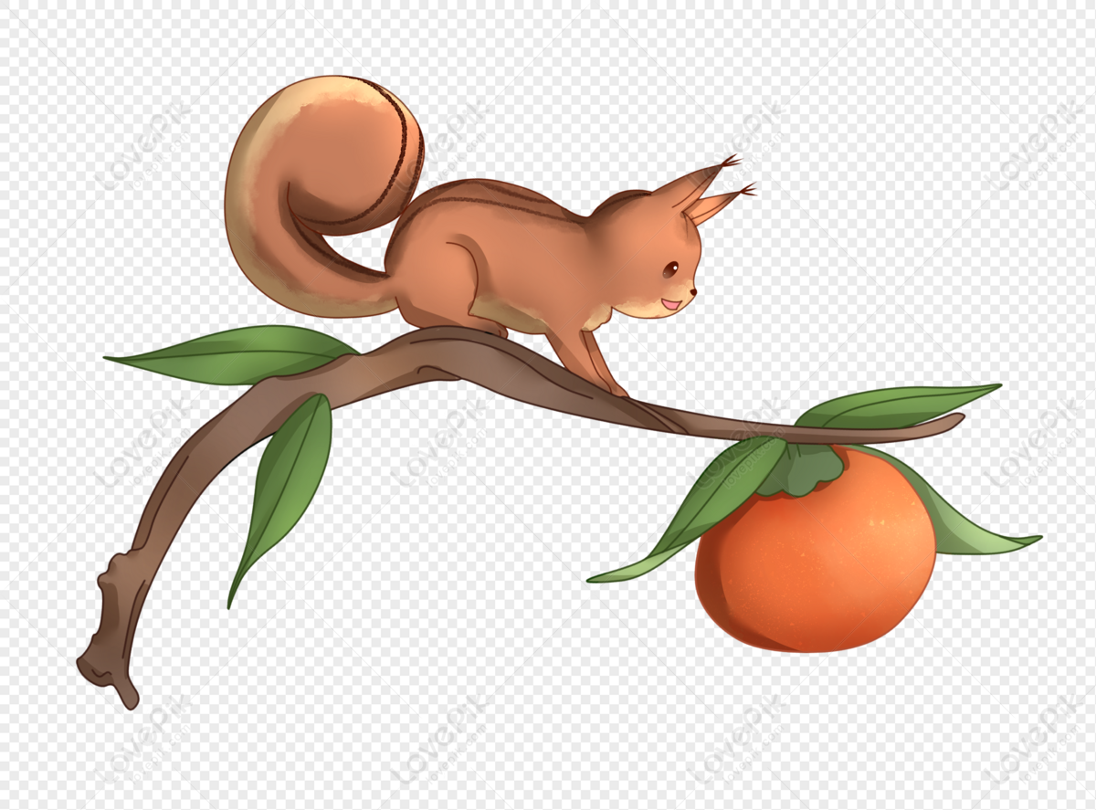 cartoon squirrel in a tree