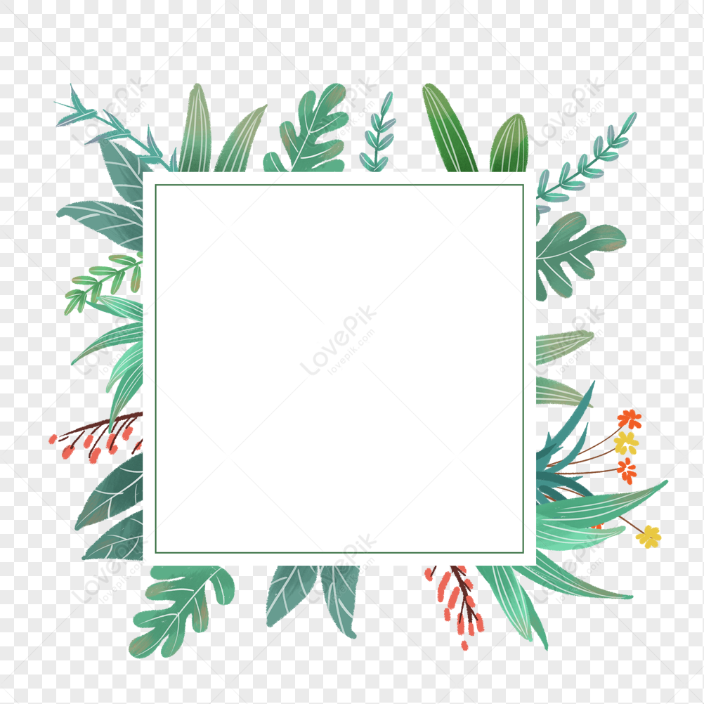 Plant Border Ornaments, Green Plant Border, Ornament, Plant PNG Image ...