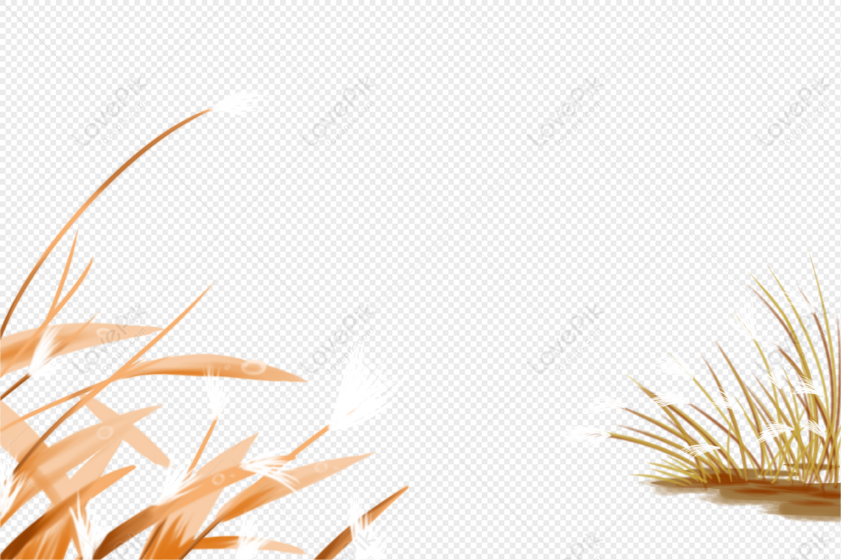 Reed, Reed Pictures, Reed, Hand-painted Reeds PNG Transparent ...